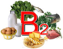 vitamine b2 voeding
