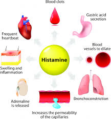 voeding met histamine