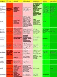 alkalische voeding