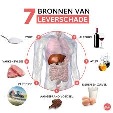 voeding goed voor lever